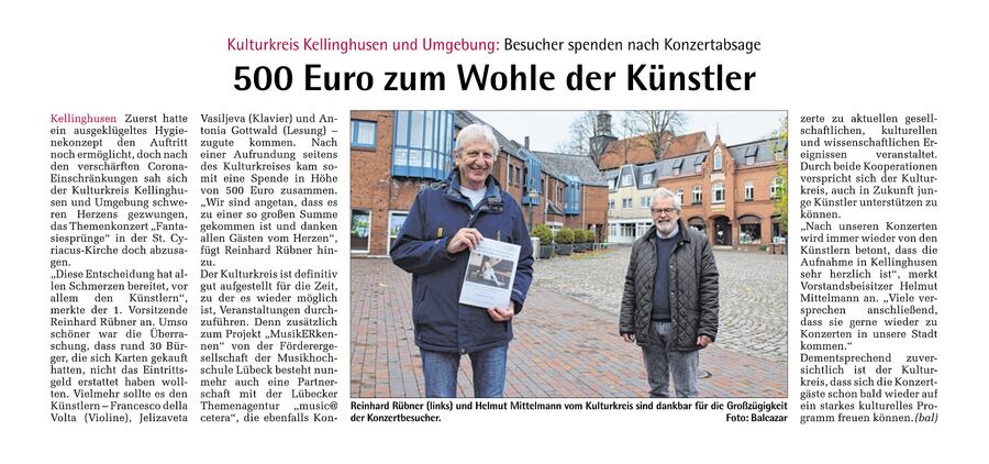 Zeitungsartikel aus der Wochenzeitung Hallo Steinburg (11. November 2020, Seite 3)